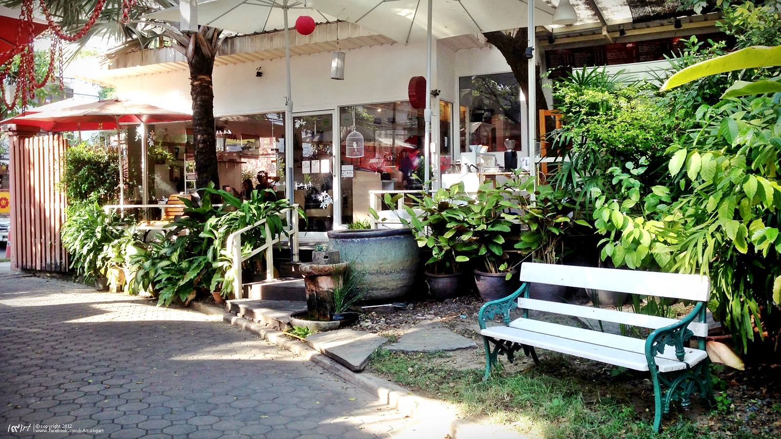 Sunday in the Garden at Baan Bang Aor Coffee 16